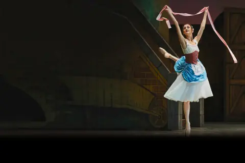 Тщетная предосторожность